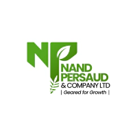 Nand Persaud Logo